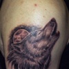 Wolf n moon