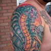 Snake n Skulls