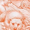 Polar Bears