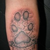 Dog Paw (Stone work)