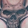 Skull