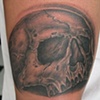 Jawless Skull