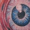 eyeball
