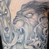 Lions