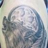 Wolf n Feather
