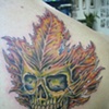 Canadian Skull