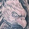 Olive Marie Eagle