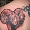 Ram