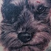 Julie's puppy Caillou