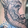 water dragon