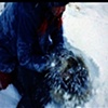 Snow, Sand, Rain (from Bamboozled: How Movies Have Deceived Me)