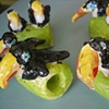 Beautiful toucans!