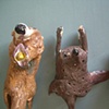 Sea otters holding clams.