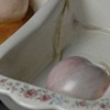 Bittersweet, detail