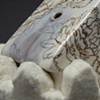 Salt and Pepper, detail