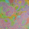 Untitled No. 32