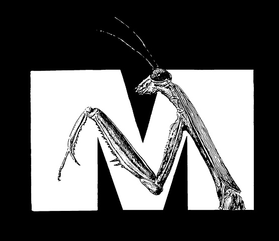 M is for Mantis