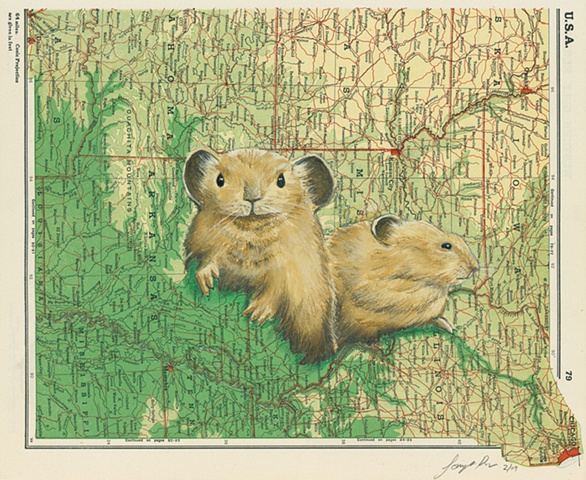 Pikas on vacation