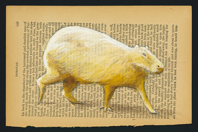 Capybara