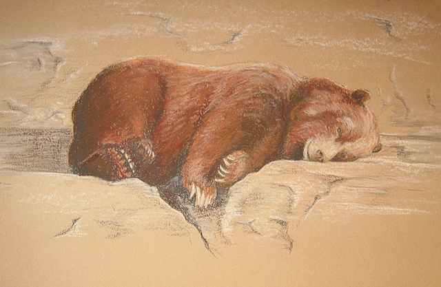 Sleepy bear