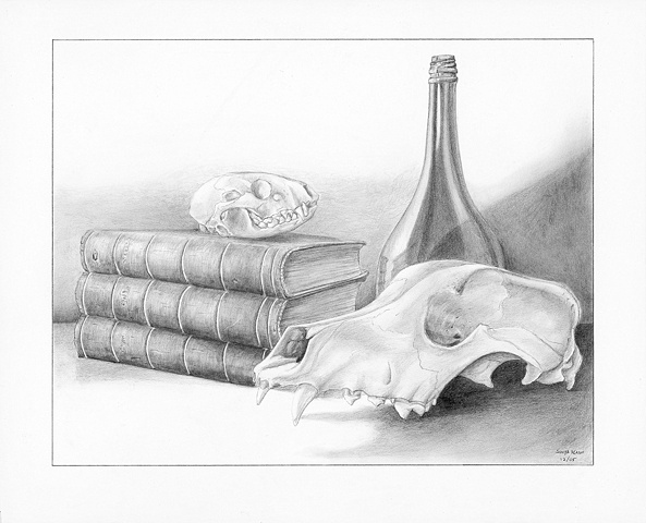 Skulls Still-life