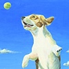 I can fly!