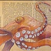 Octopus & Friend