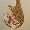 Hanging Pangolin 1