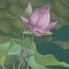 Lotus Blossom