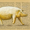 Swine 2