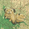 Pikas on vacation