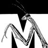 M is for Mantis