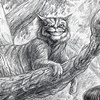 The Cheshire Cat