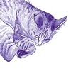 Flat Cat