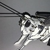Grasshopper