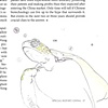 World View Magazine: pp. 26- 27