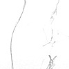 sketchbook- drinkNdraw 3rdward