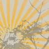 T-shirt Graphic