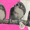collage