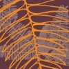 T-shirt Graphic for Mudd Sleep