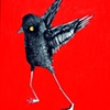 "Red Bird"