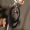 brown circle shells