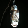 camoflauge shell