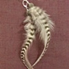 grey striped feathers & walaweka seeds