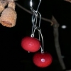 ruby quartz & silver