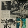 Figure With Gray Trees