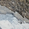Family Landscape II (Rocks).