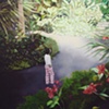 Permanent Garden