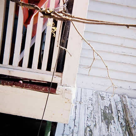 gold foil skeleton, from the series _wake me with a tallboy_