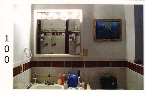 bathroom 1, from the series  _chronic perversions_